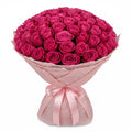 Healing Blush of 101 Pink Roses
