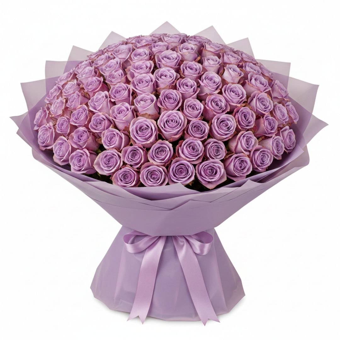 Purple Triumph-300 Purple Roses