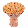 New Life in Peach-51 Peach Roses