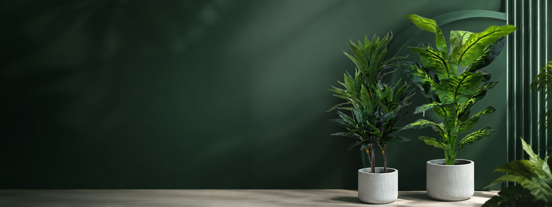 Bring Your Home to Life