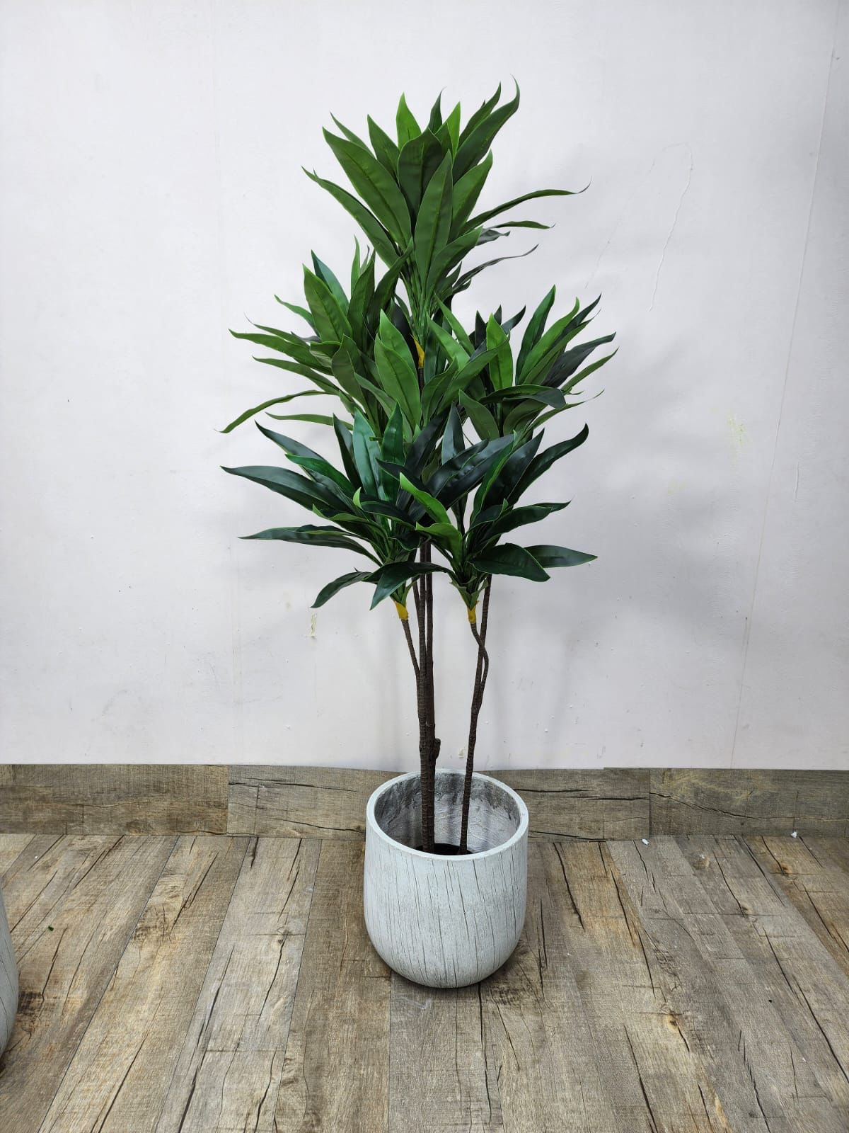140cm Faux Dracaena Reflexa – Sleek Modern Greenery