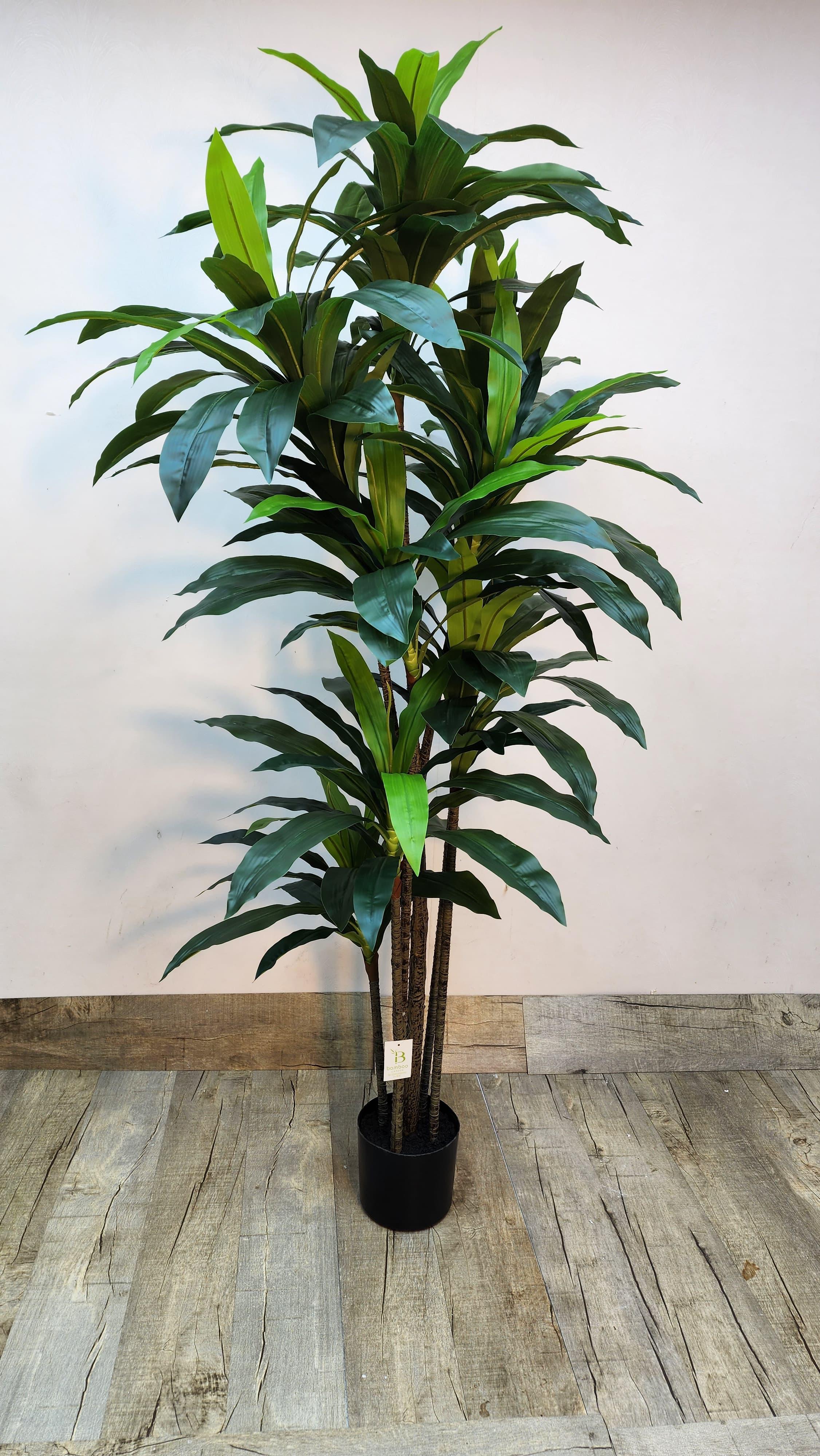 Faux Dracaena Plant – Tropical Look, No Upkeep