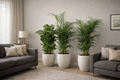 Areca Palm Duo & Fiddle Leaf Fig Bundle with Ceramic Pots (140–150cm)