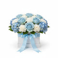 Skyward Love - Valentine's Special Box