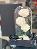 Snow Kiss – White Forever Roses