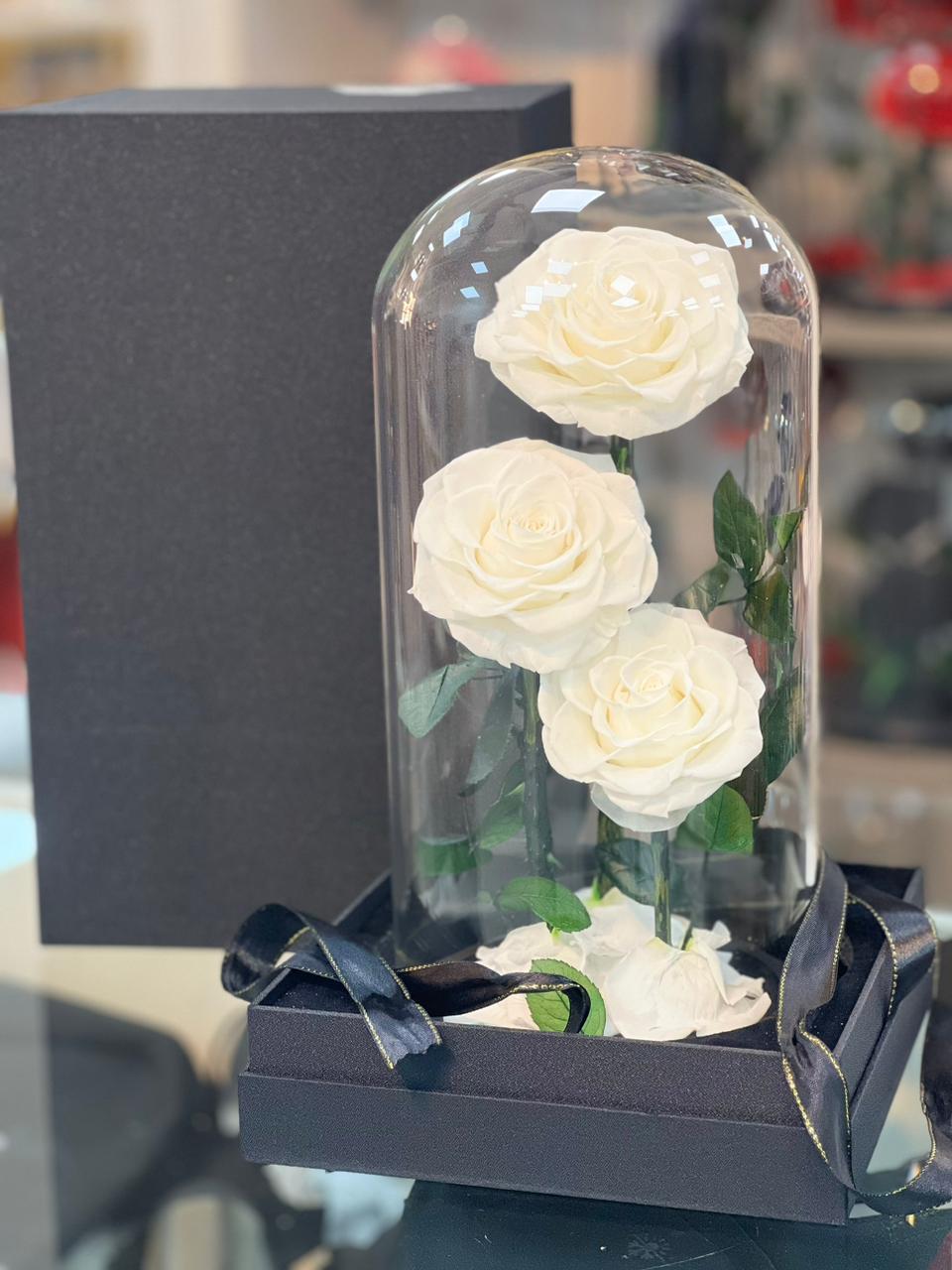 Snow Kiss – White Forever Roses