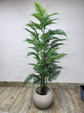 Faux Areca Palm – Tropical Style, No Maintenance
