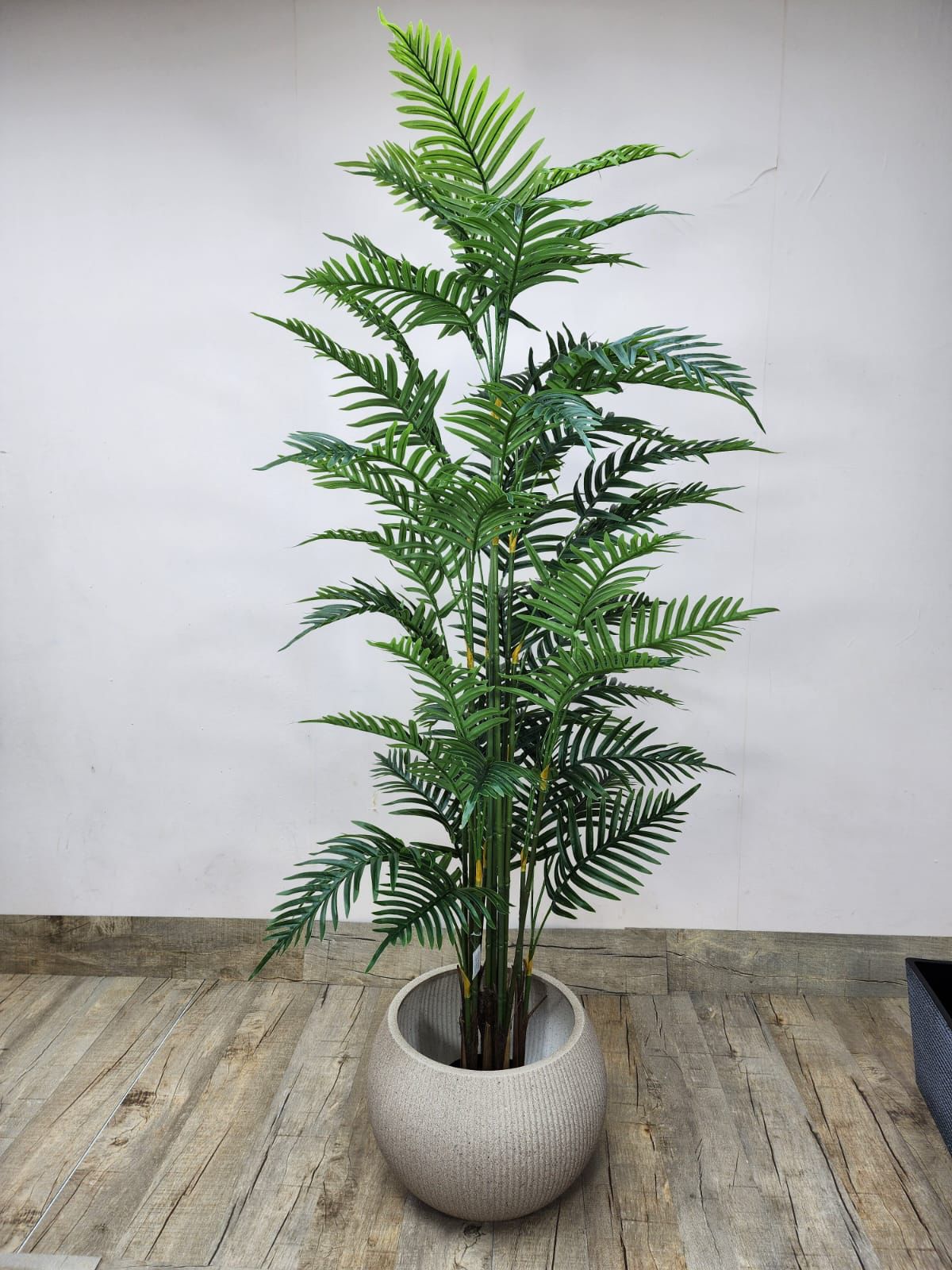 Faux Areca Palm – Tropical Style, No Maintenance