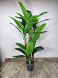 180cm Faux Banana Plant – Bold Tropical Look