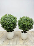 Faux Ehretia Topiary Balls – Elegant Rounded Greenery