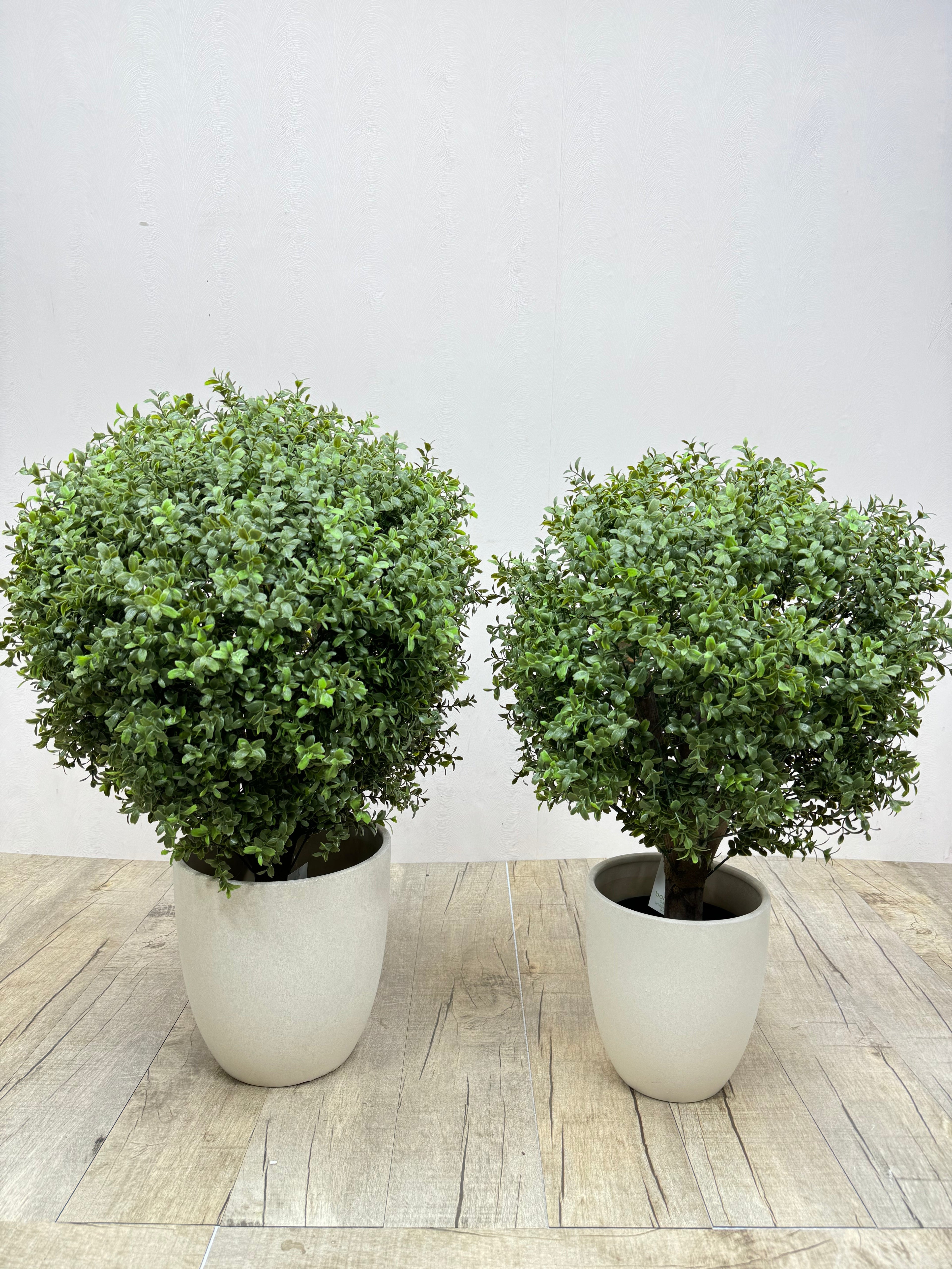 Faux Ehretia Topiary Balls – Elegant Rounded Greenery