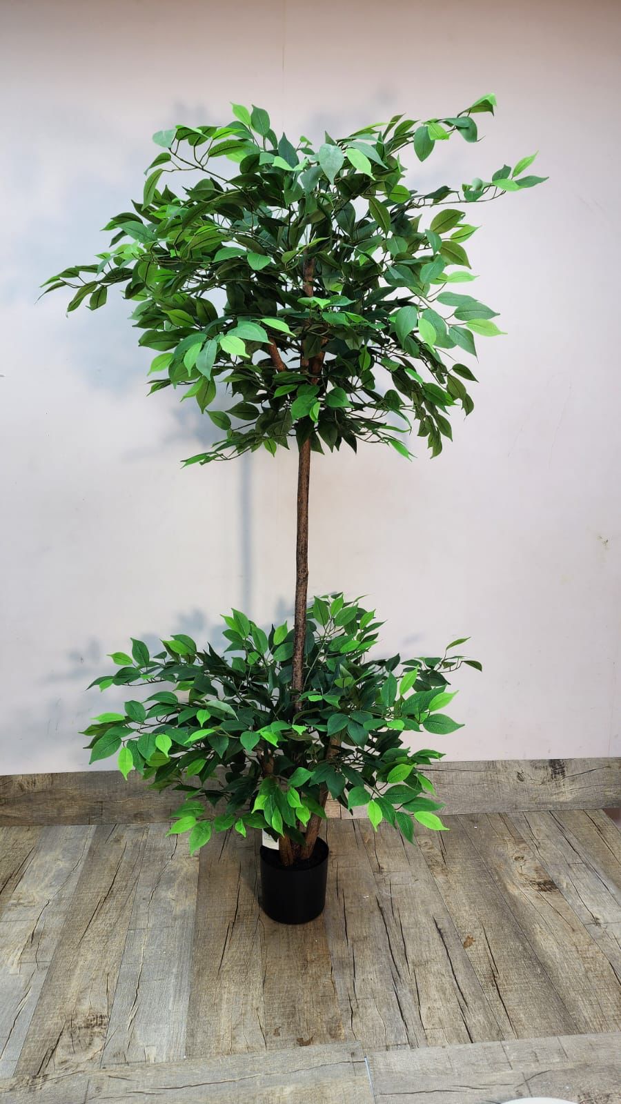 1.8m Faux Weeping Fig Tree – Ficus Benjamina