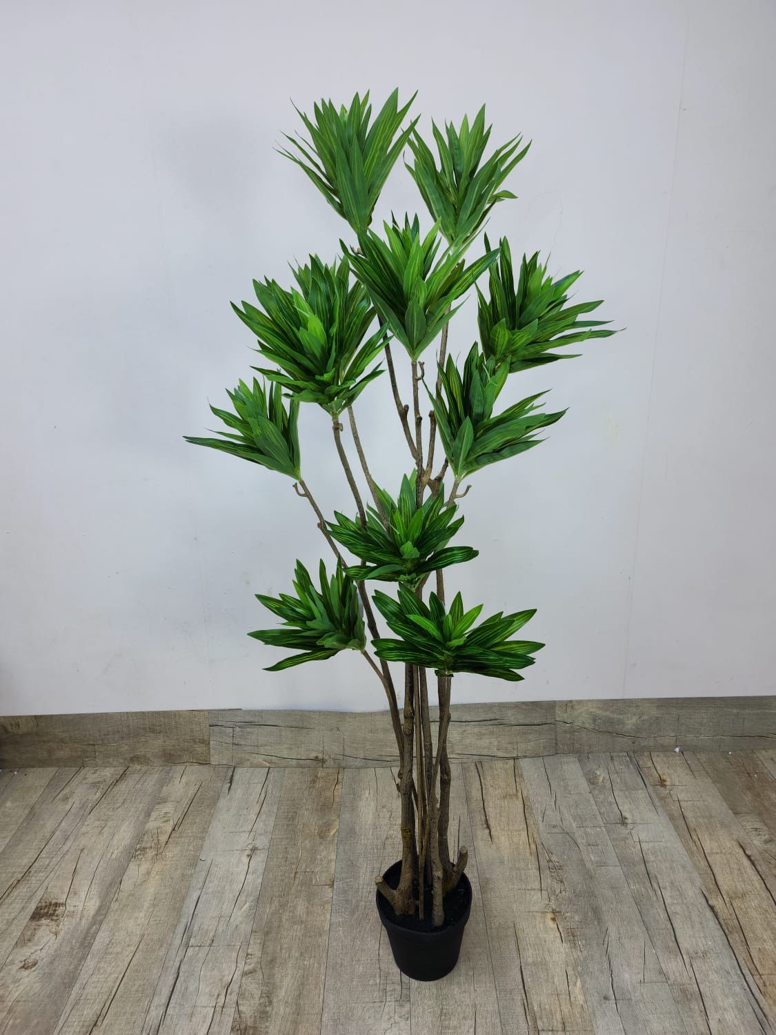 140cm Faux Dracaena Marginata – Sculptural Modern Plant